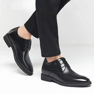 Lorenzo | More Height