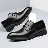 Lorenzo | More Height